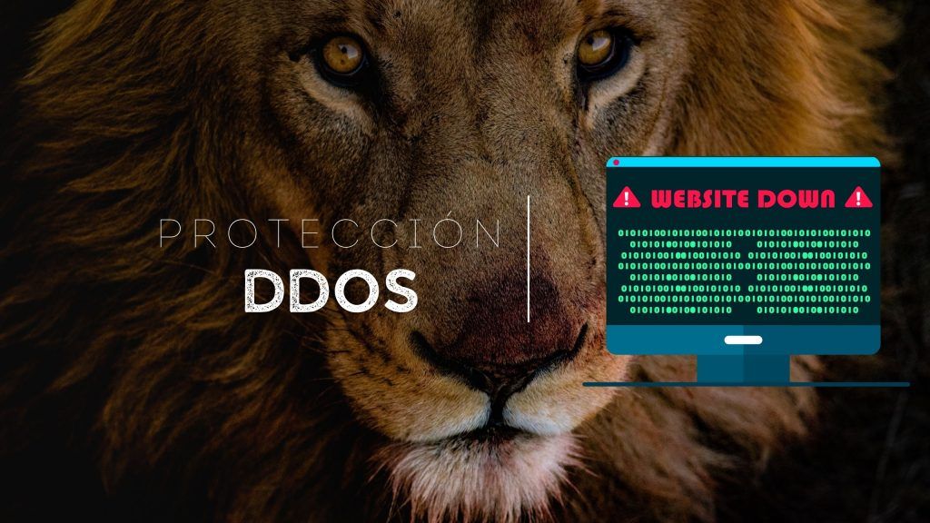 Protección DDoS