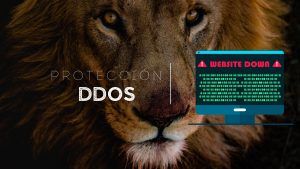 Protección DDoS